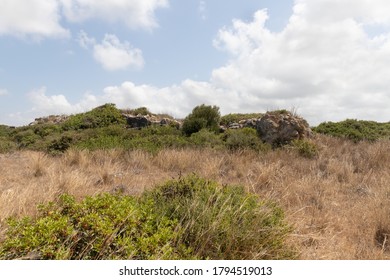 The vegetated stone walls of the old Phoenician fortress, which later became the Roman city of Karta, near the city of Atlit in northern Israel - Shutterstock ID 1794519013