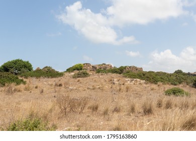 The vegetated stone walls of the old Phoenician fortress, which later became the Roman city of Karta, near the city of Atlit in northern Israel - Shutterstock ID 1795163860
