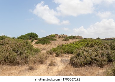The vegetated stone walls of the old Phoenician fortress, which later became the Roman city of Karta, near the city of Atlit in northern Israel - Shutterstock ID 1795567192