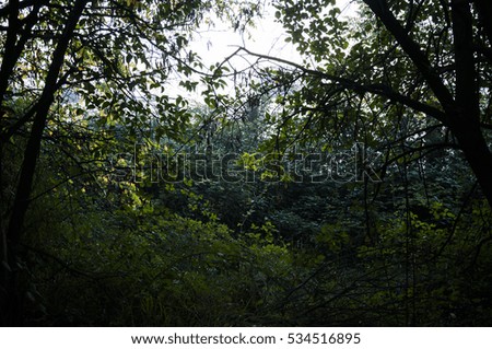 Similar – Image, Stock Photo Together in the green