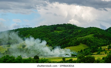 Vegetation Fire Near The Forest