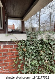 Vegetation Grows Over The Bricks Of A St. Louis Home.