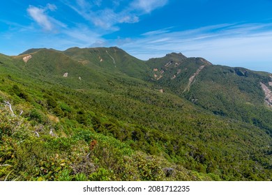 Vegetation On Slopes Of Egmont National Park In New Zealand