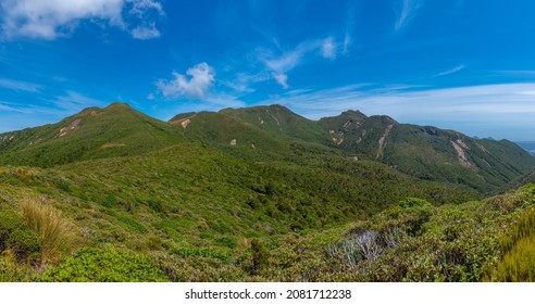 Vegetation On Slopes Of Egmont National Park In New Zealand
