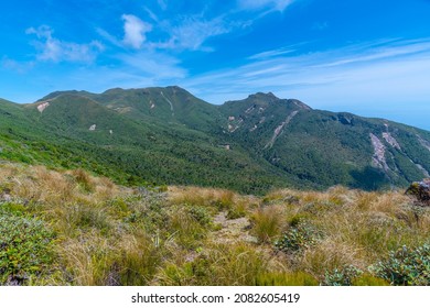 Vegetation On Slopes Of Egmont National Park In New Zealand