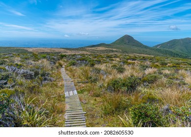 Vegetation On Slopes Of Egmont National Park In New Zealand