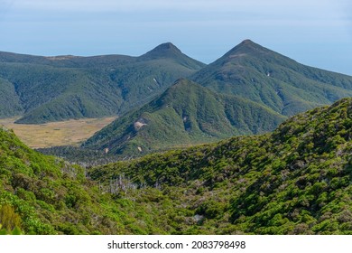 Vegetation On Slopes Of Egmont National Park In New Zealand