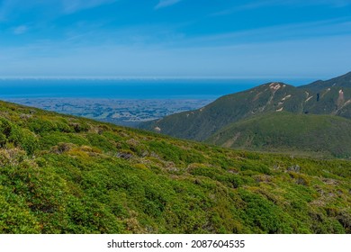 Vegetation On Slopes Of Egmont National Park In New Zealand