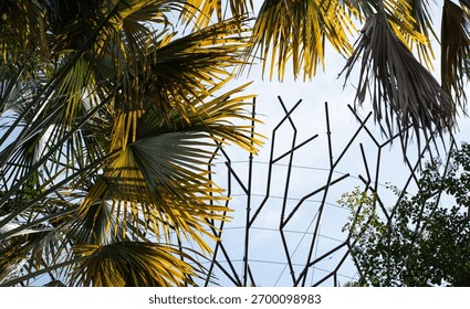 Vegetation surrounds a manmade structure creating an abstract view of nature, artificial and sky.