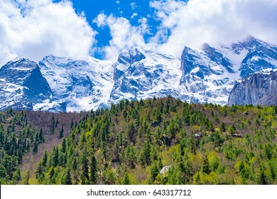 Montane Forest Images Stock Photos Vectors Shutterstock
