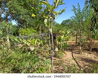 Wellness Blau Stockfotos Bilder Und Fotografie Shutterstock