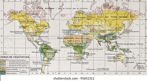 Vegetation Zones Old Map. By Paul Vidal De Lablache, Atlas Classique, Librerie Colin, Paris, 1894