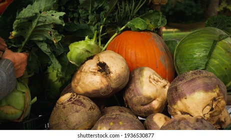 Vegtables On A Market Stall