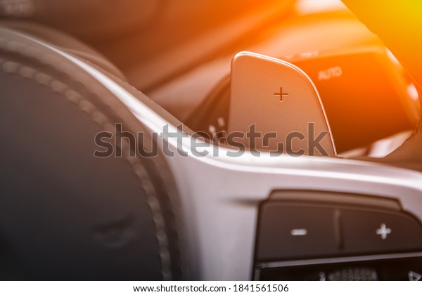 Vehicle interior of a modern\
car with voice control button.  Steering wheel with multifunction\
buttons