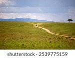 A vehicle navigating its way through a grassy field