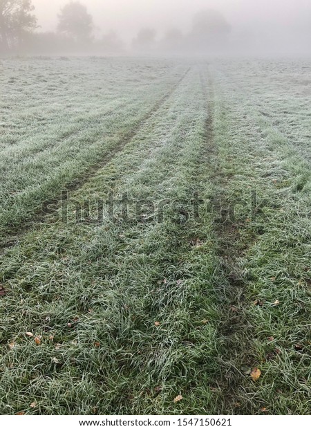 Vehicle
tracks through a frosty grass field: Escape route taken by thieves
after stealing an agricultural vehicle from a farm. Damage to
fields and crops.  Examples of rural
crime.