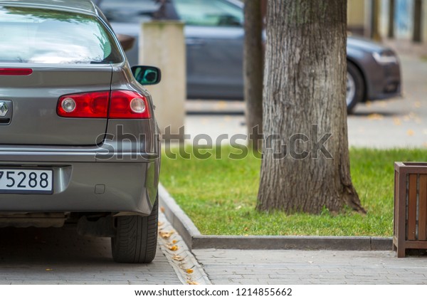 Vehicles design and parking problems concept.\
Close up back view, stop lights, mirror and trunk details of new\
shiny luxurious silver car parked on sunny pavement at big trees on\
blurred background.