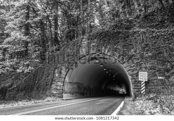Vehicles drive\
through a stone tunnel in a hill running through a forest in autumn\
with a reduced speed ahead\
sign.