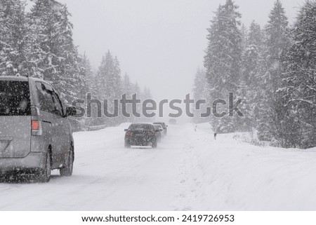 Vehicles navigate through a heavy snowfall on a road lined with pine trees, highlighting the challenges of winter driving in forested areas.