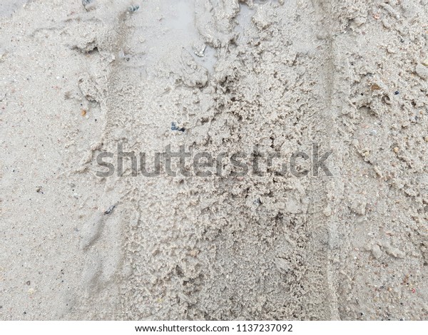 Vehicles Tracks in Mud\
Background