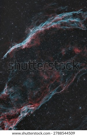 The Veil Nebula (from the Cygnus Loop)