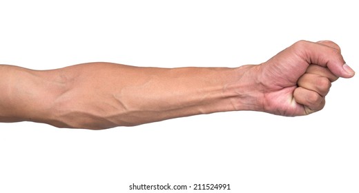 Vein In The Arm