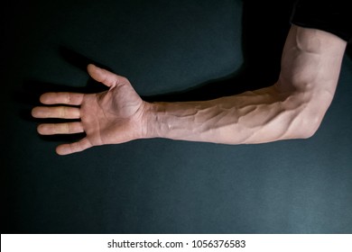 Veins arm Images, Stock Photos & Vectors | Shutterstock