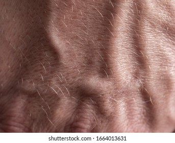 Veins On A Male Hand As A Background