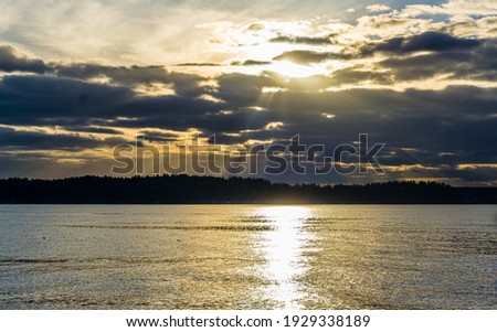 Similar – Image, Stock Photo Light shines through the window of a long abandoned room and casts a bright light on the old, empty floor