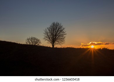 Veiw of a lone tree standing on conic hill in Stirlingshire Scotland on a cold and clear winter morning surnrise.