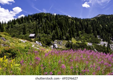 Velebit Botanical Garden