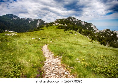 Velebit Mountain In Croatia Landscape