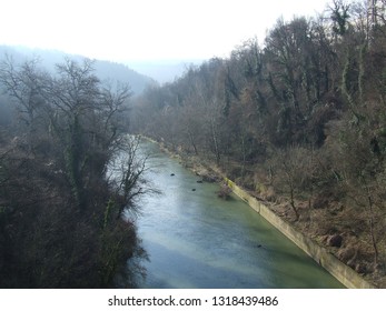 Veliko Tarnovo, Bulgaria - February 2018: Backlight View Of Yantra River And Of The Fantastic Forest With Ivy Covered Trees In Its Valley Early In Spring