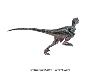 Raptor Dinosaur Images Stock Photos Vectors Shutterstock