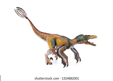 Velociraptor feathered theropod dinosaurs. isolated on white background.