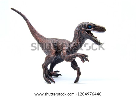 Velociraptor figure Dinosaur model on white background | Decorative and toy collection for kids and boy