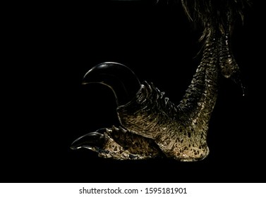 Velociraptor golden look  with pointed claws on a black background