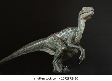A velociraptor on black background