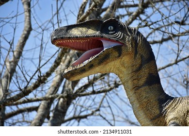 Velociraptor, raptor, prehistoric dinosaur coming through a line of trees.