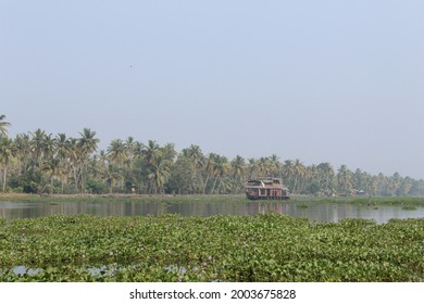 Vembanad lake, Kumarakom, Kottayam, houseboats with tourists, lake side with coconut trees, Gods own country, touristspot