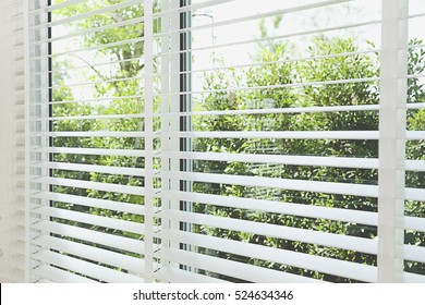 Venetian Blinds By The Window