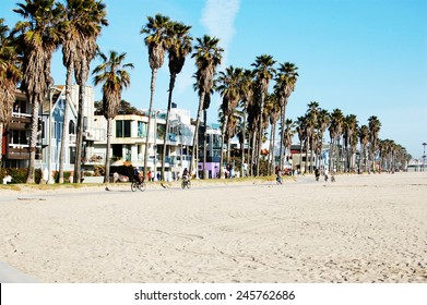 Venice Beach Bike Trail