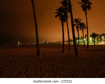 Venice Beach By Night