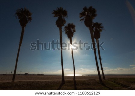 Similar – Venice Beach