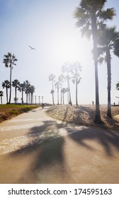 Strand von Venedig in Los Angeles