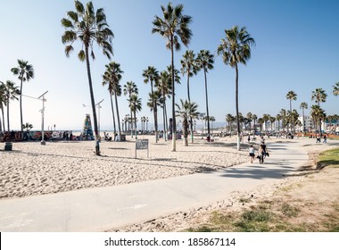 Venice Beach, Los Angeles - Powered by Shutterstock