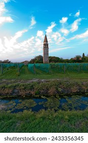 Venice Burano Mazorbo vineyard with 