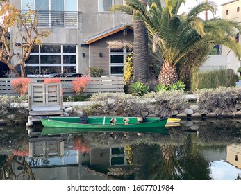 Venice Canals Los Angeles Ducks