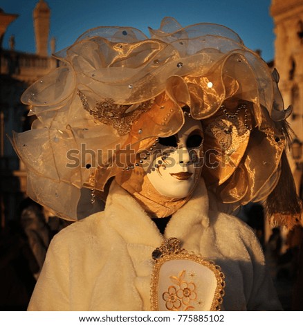 Venice carnival costume and mask.
