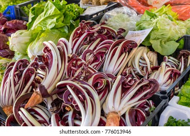 Venice Food Market